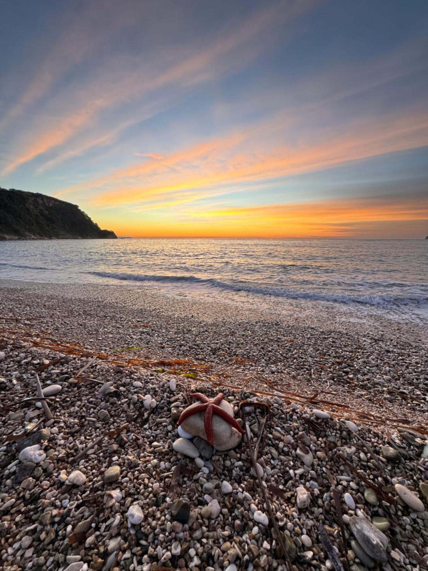 Fane's Himare